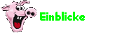 Einblicke