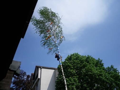 IMGP0242